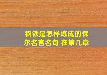 钢铁是怎样炼成的保尔名言名句 在第几章